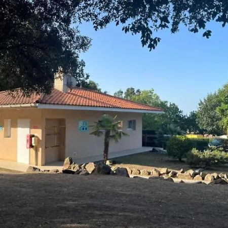 Mobil-home, Animaux Acceptes - 2 Pers. - Api-1-52-2524